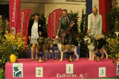 Des gardiennes des borderies - CHAMPIONNAT DE FRANCE A MARSEILLE !!!!