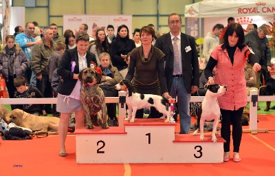 Des gardiennes des borderies - RESULTATS EXPO DE CHATEAUROUX