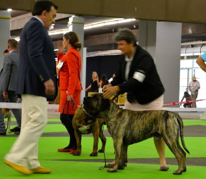 Des gardiennes des borderies - CHAMPIONNAT DE FRANCE 2015 DIJON 