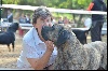  - Résultats expos Aulnay De Saintonge, Macon, Langon St Macaire