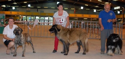 Des gardiennes des borderies - NATIONALE D'ELEVAGE  A  NEVERS 2013