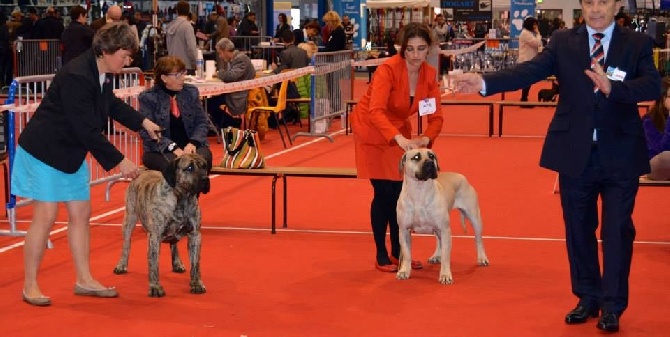 Des gardiennes des borderies - EXPO TOULOUSE